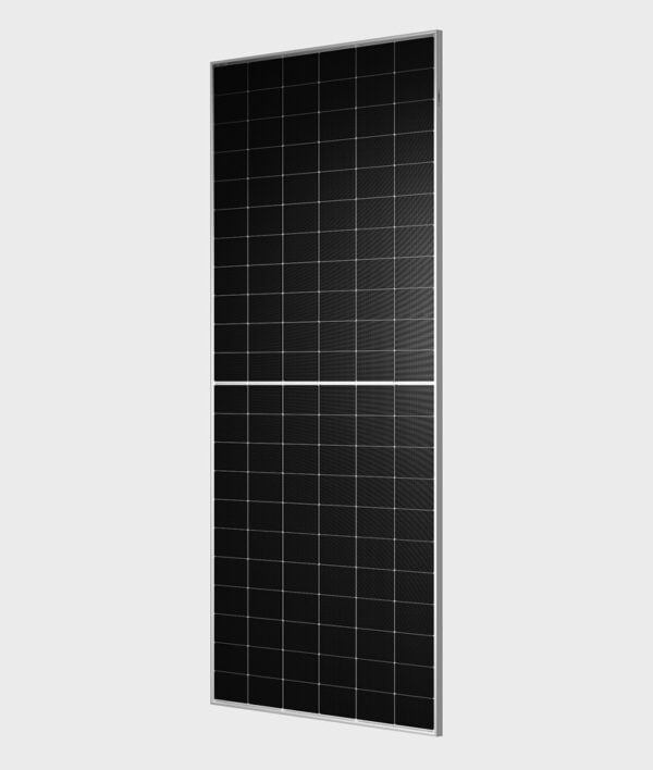 TW Solar 615W TWMNH Series N-Type TOPCon Dual Glass Bifacial Module